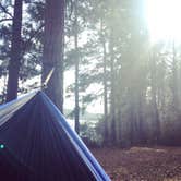 Review photo of Huntsville State Park Campground by Gretchen N., June 26, 2016