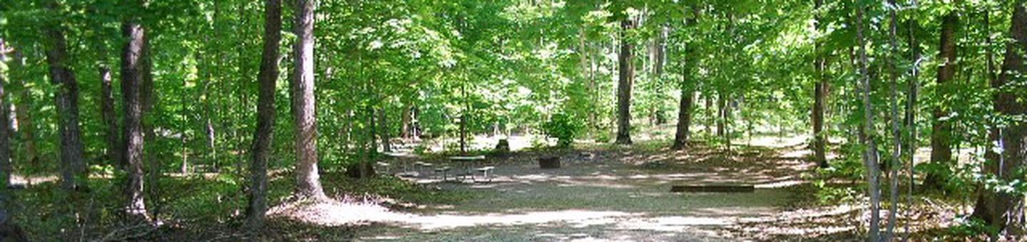 Camper submitted image from Pete's Lake Campground - 5