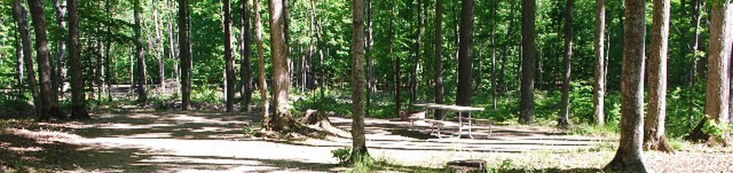 Camper submitted image from Pete's Lake Campground - 2