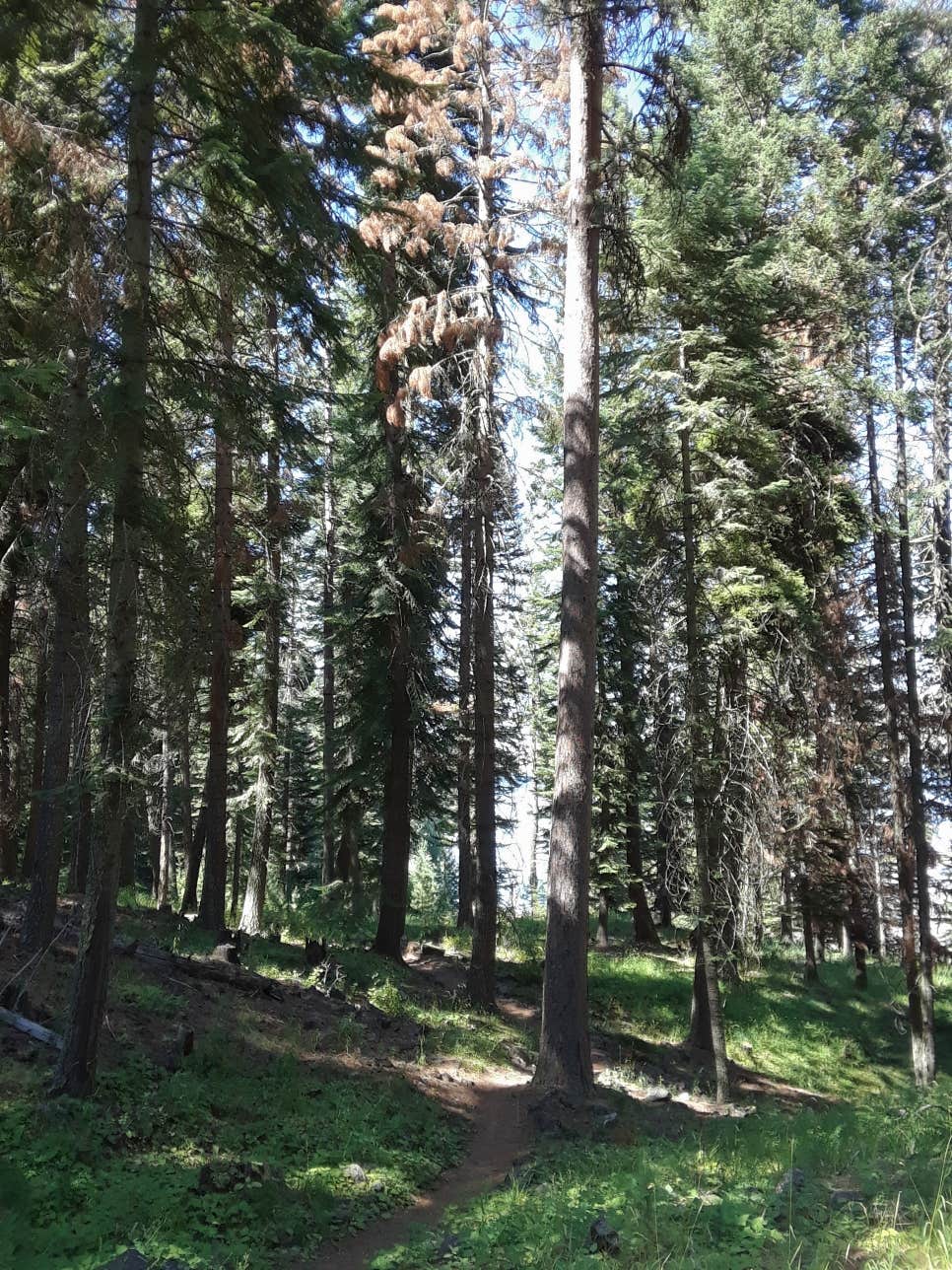 Wallowa Lake State Park Campground