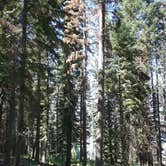 Review photo of Wallowa Lake State Park Campground by Kelsea , July 15, 2017