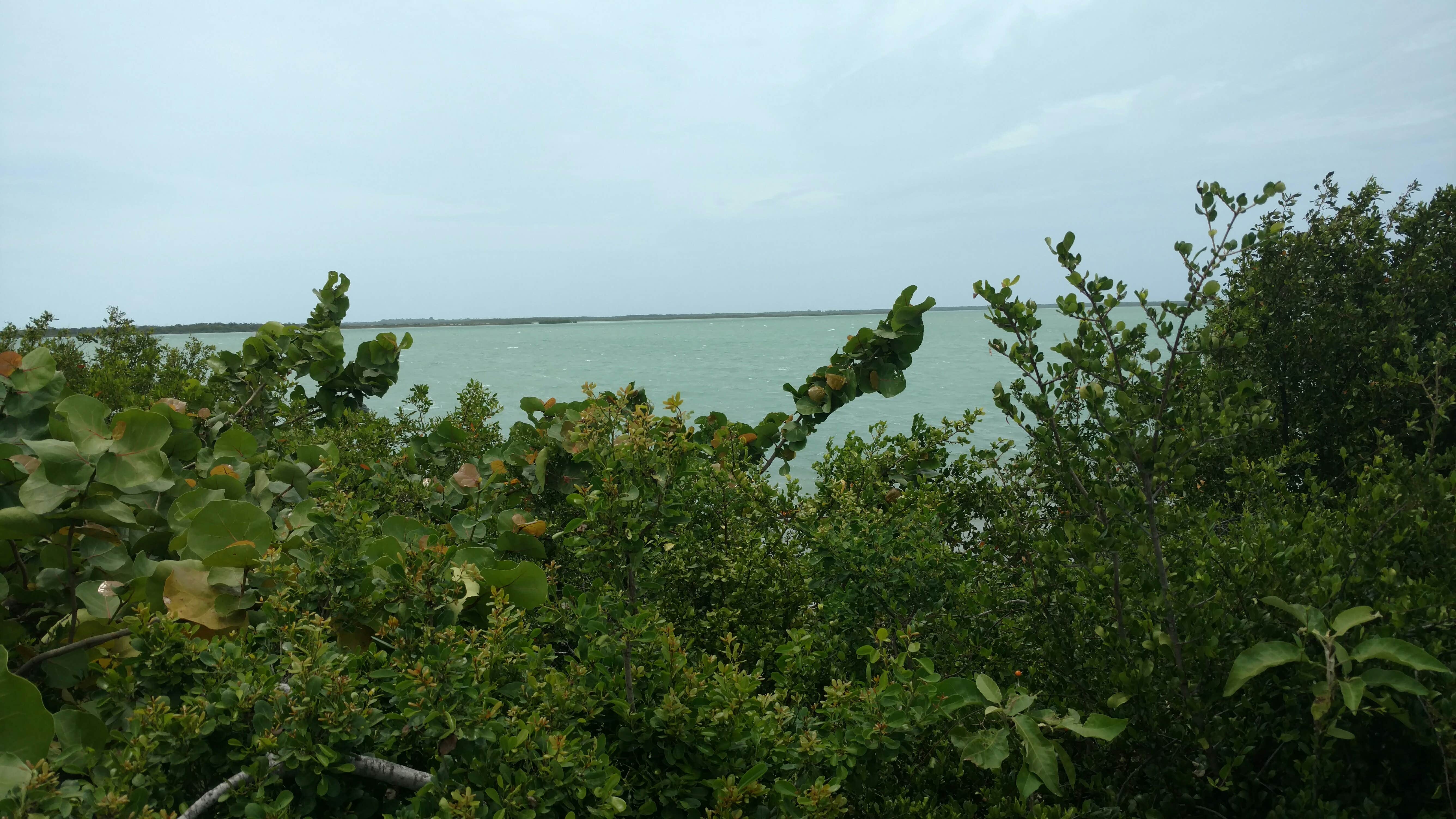 Camper submitted image from Long Key State Park Campground - 2
