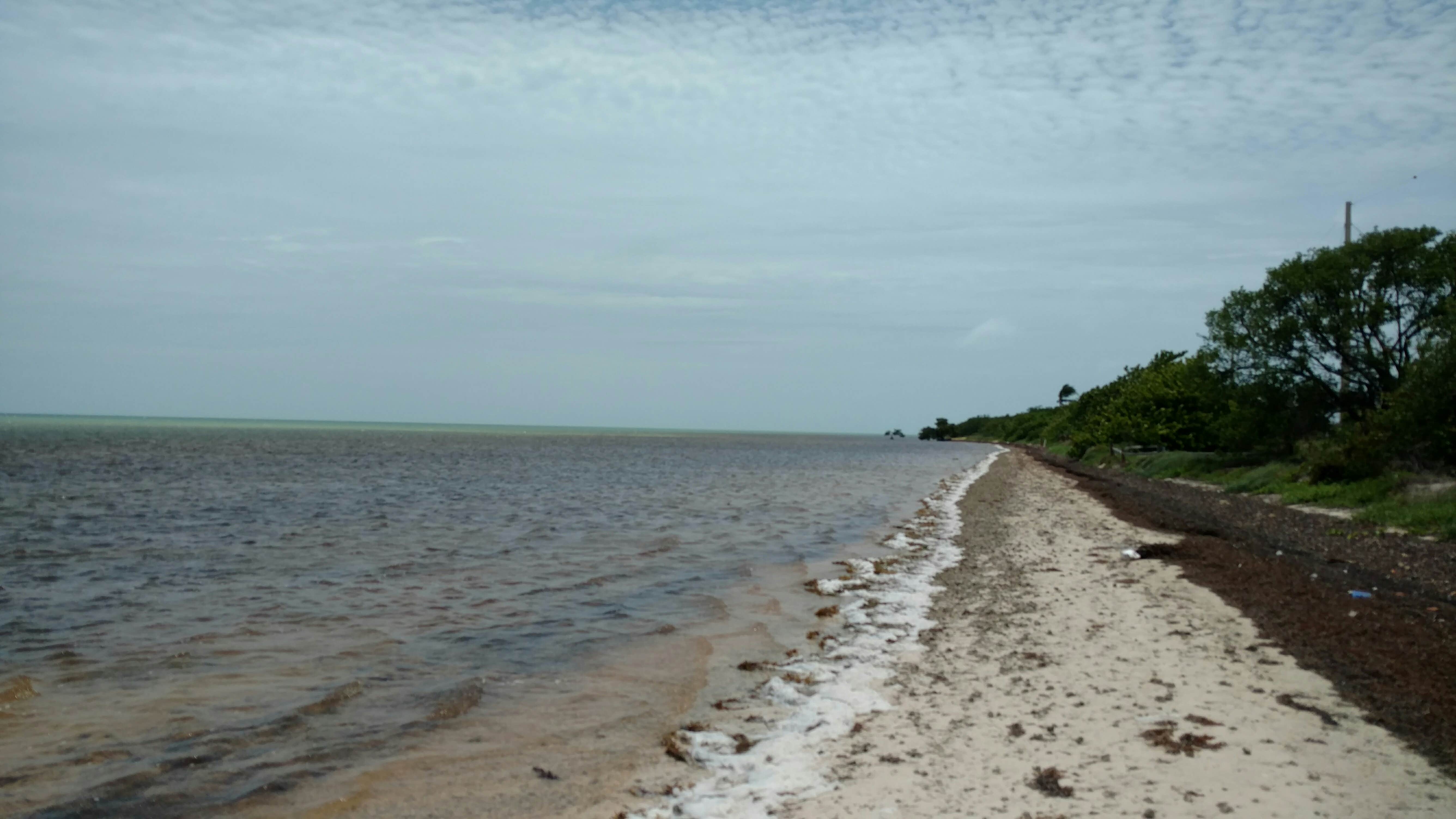 Camper submitted image from Long Key State Park Campground - 5