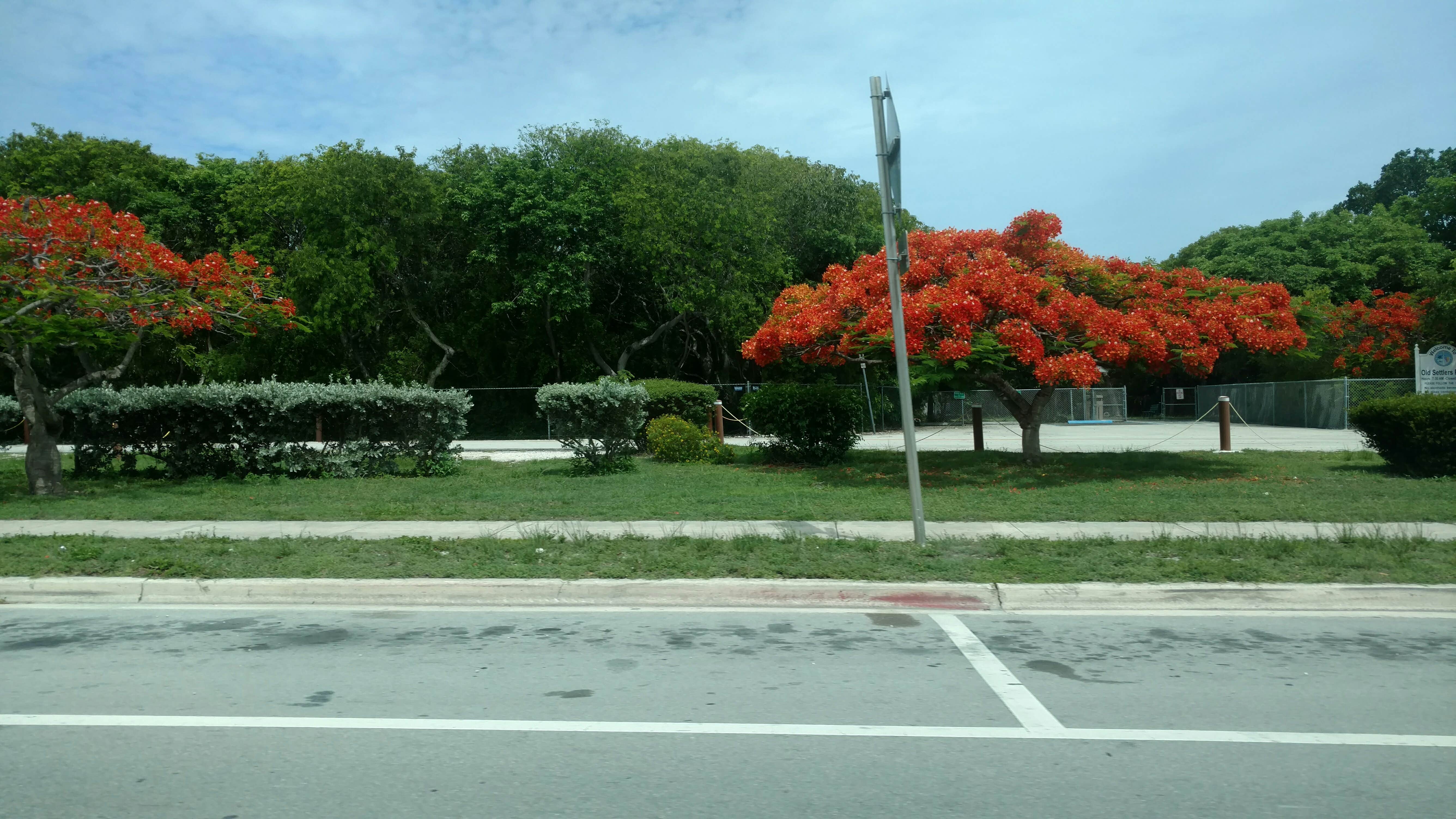 Camper submitted image from Long Key State Park Campground - 4