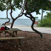 Review photo of John Pennekamp Coral Reef State Park Campground by Natalie B., July 15, 2017