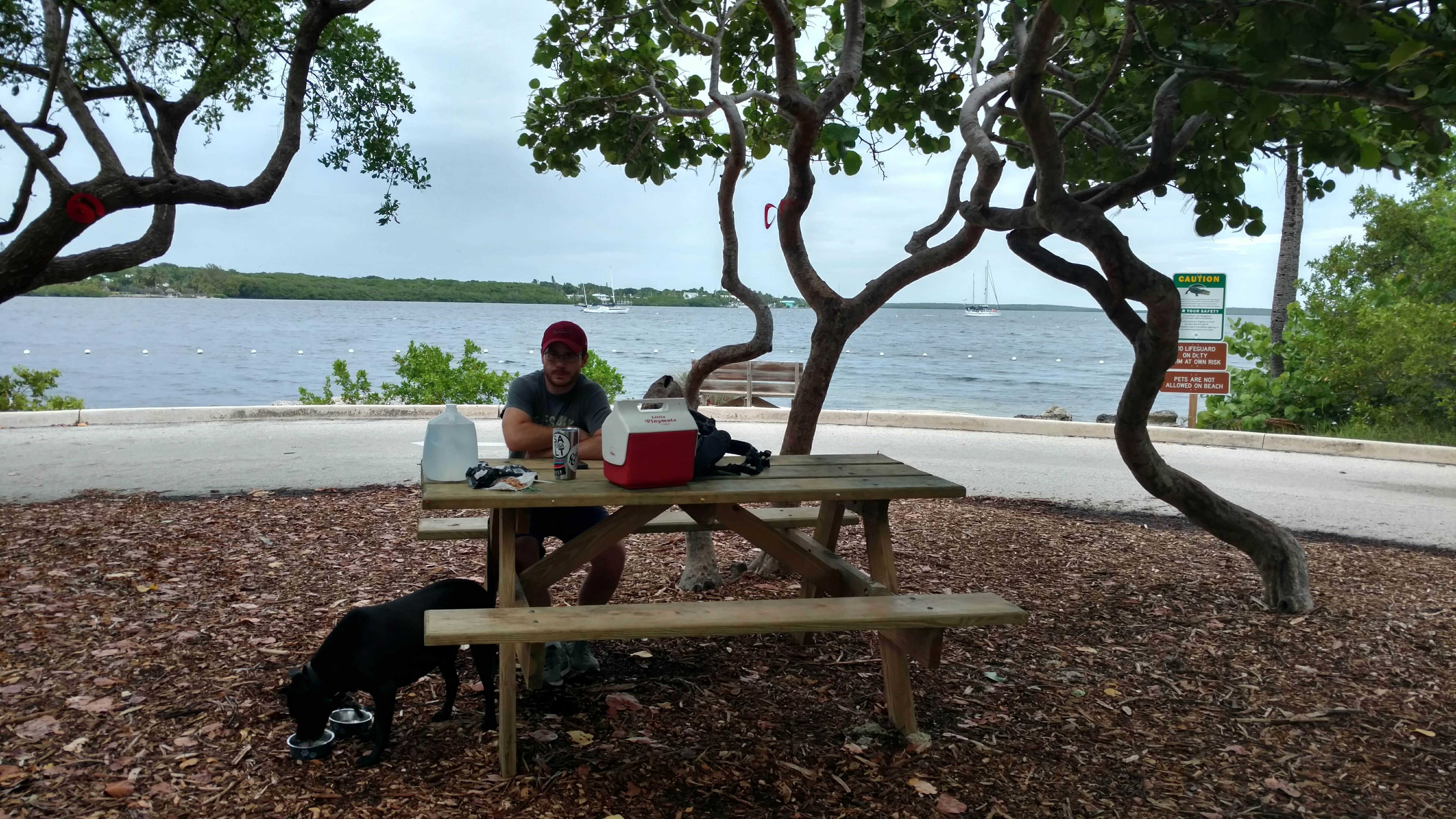 Camper submitted image from John Pennekamp Coral Reef State Park Campground - 2