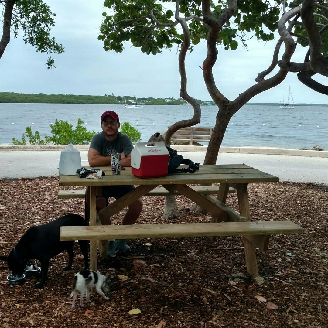 Camper submitted image from John Pennekamp Coral Reef State Park Campground - 4
