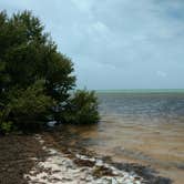 Review photo of John Pennekamp Coral Reef State Park Campground by Natalie B., July 15, 2017