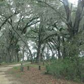 Review photo of Hopkins Prairie Campground — National Forests In Florida by Natalie B., July 15, 2017