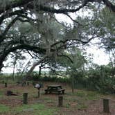 Review photo of Hopkins Prairie Campground — National Forests In Florida by Natalie B., July 15, 2017