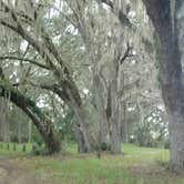 Review photo of Hopkins Prairie Campground — National Forests In Florida by Natalie B., July 15, 2017