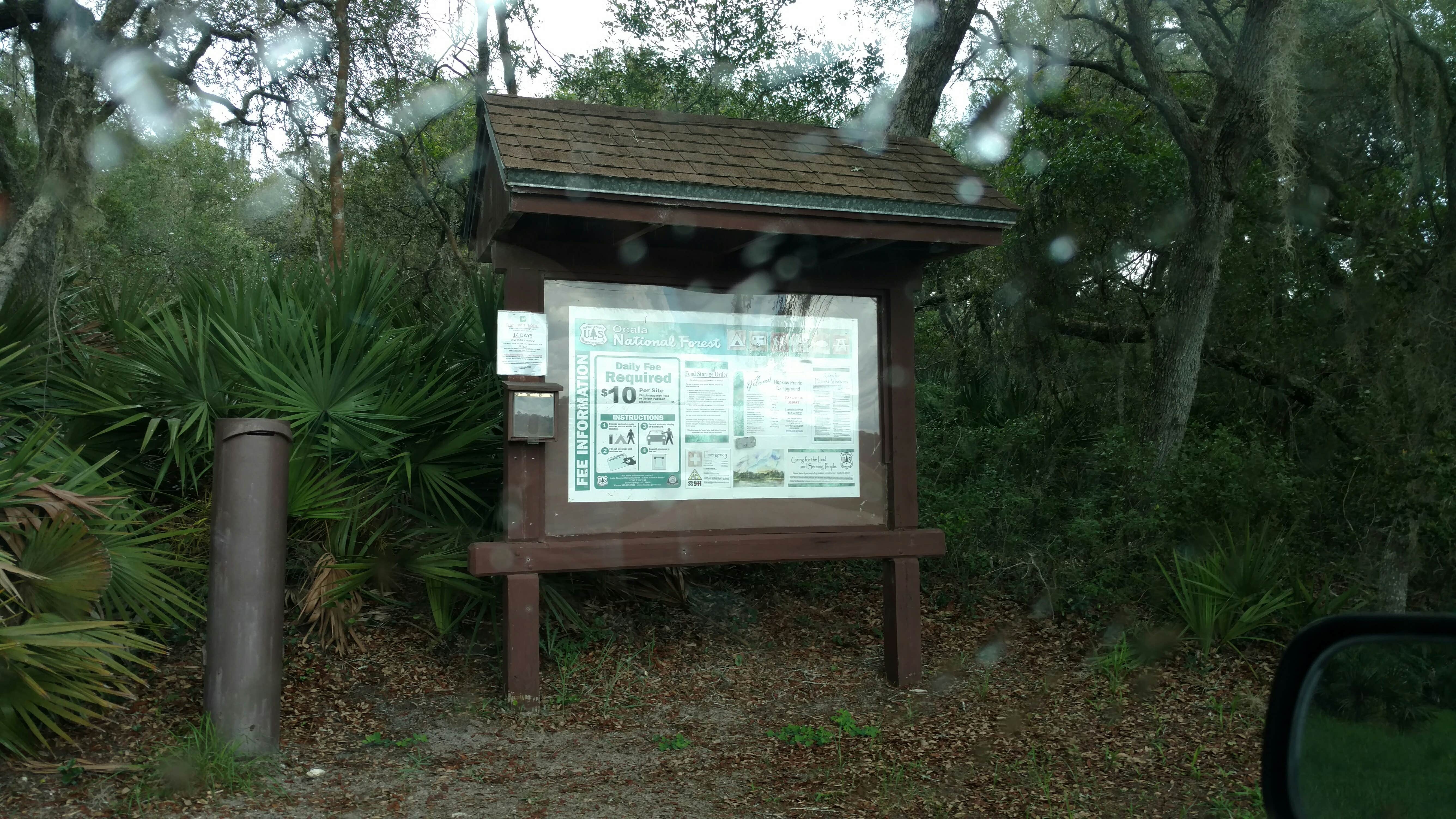 Camper-submitted photo at Hopkins Prairie Campground — National Forests In Florida near Ocala National Forest