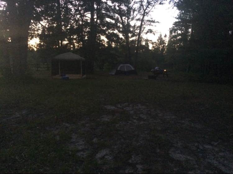Camper submitted image from Upper Manistee River - 3