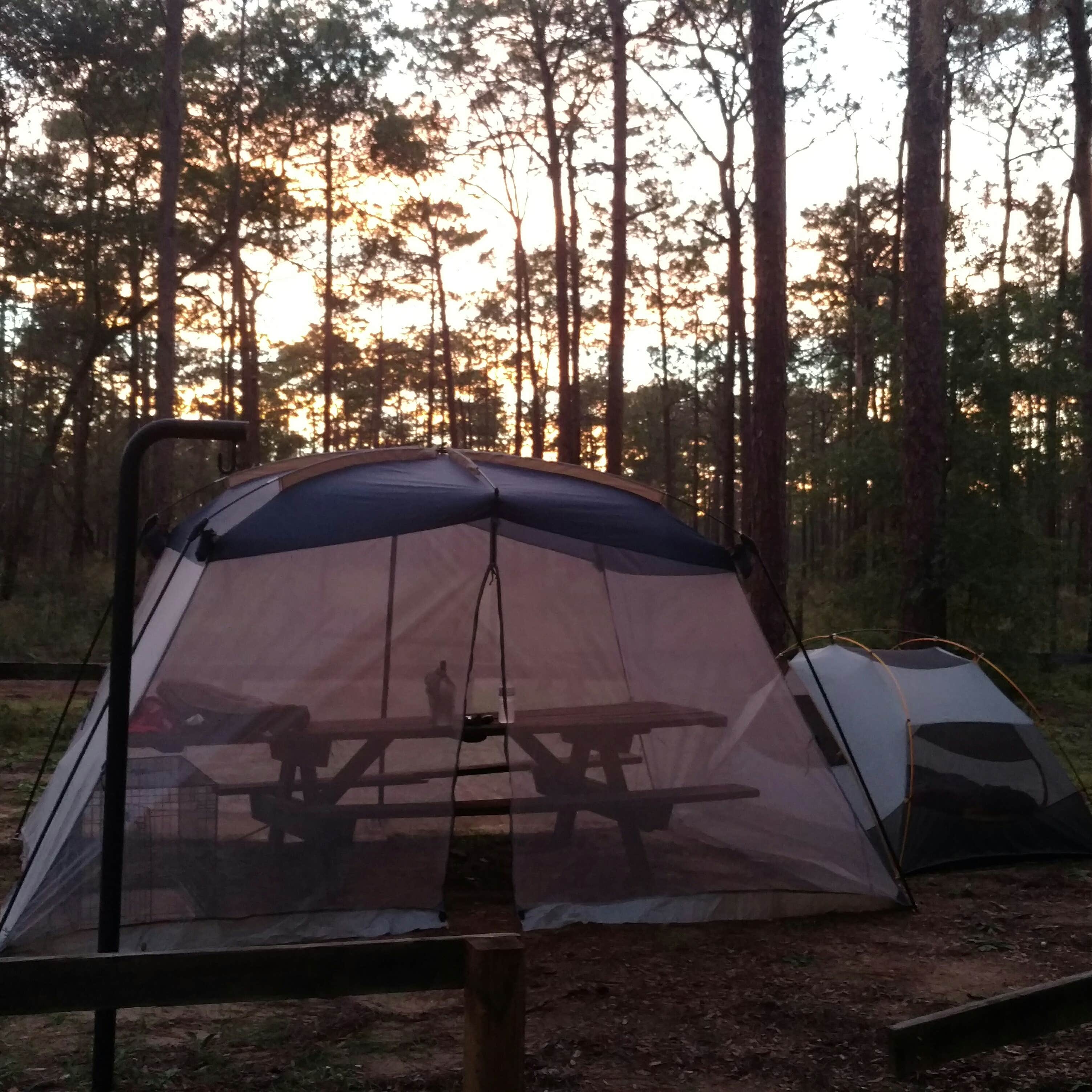 Escape to Serenity: Unveiling the Charms of Lake Delancy East Campground