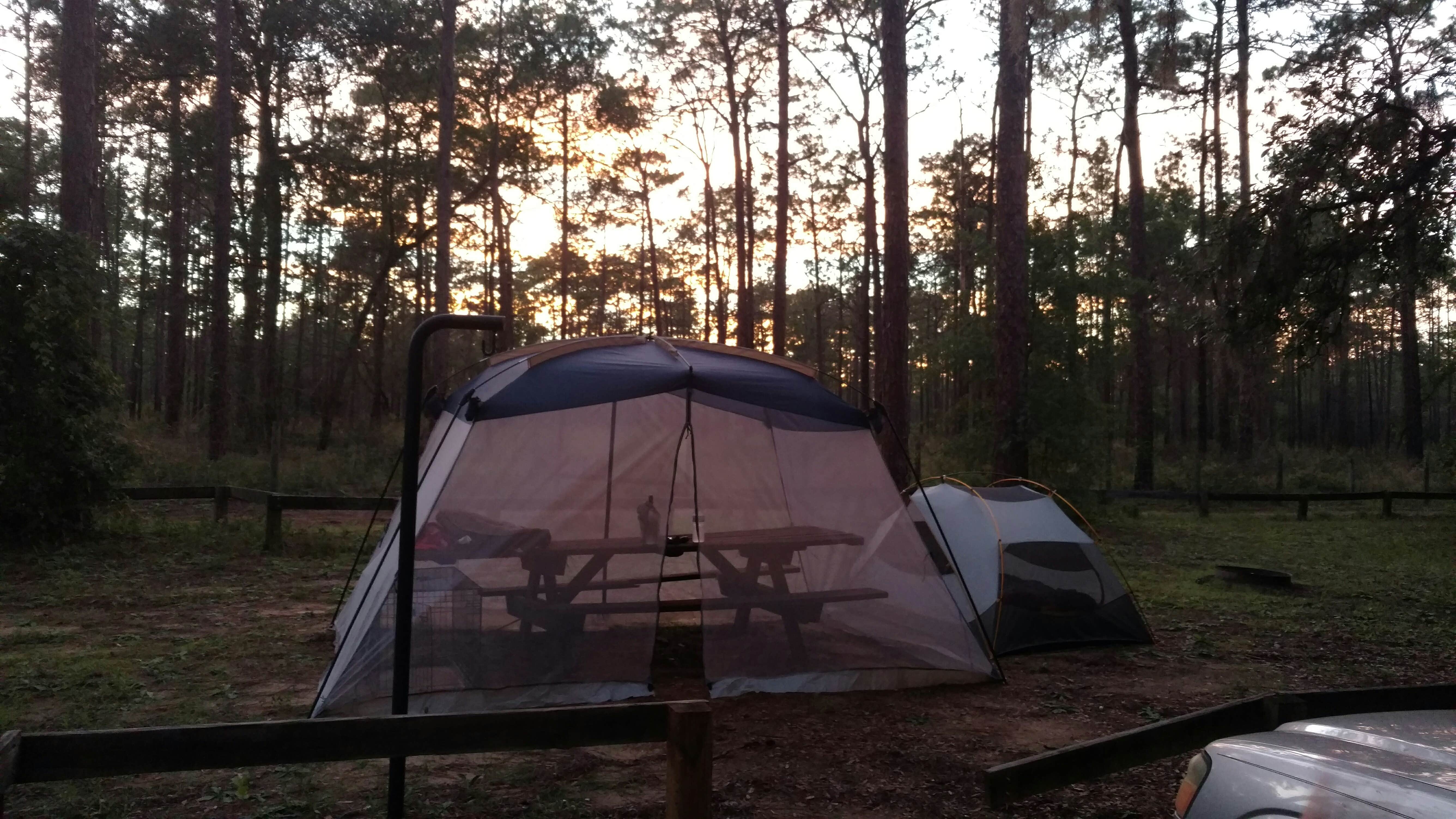 Camper submitted image from Lake Delancy West Campground - 4