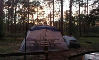 Natalie B.'s photo at Lake Delancy West Campground near San Mateo, FL