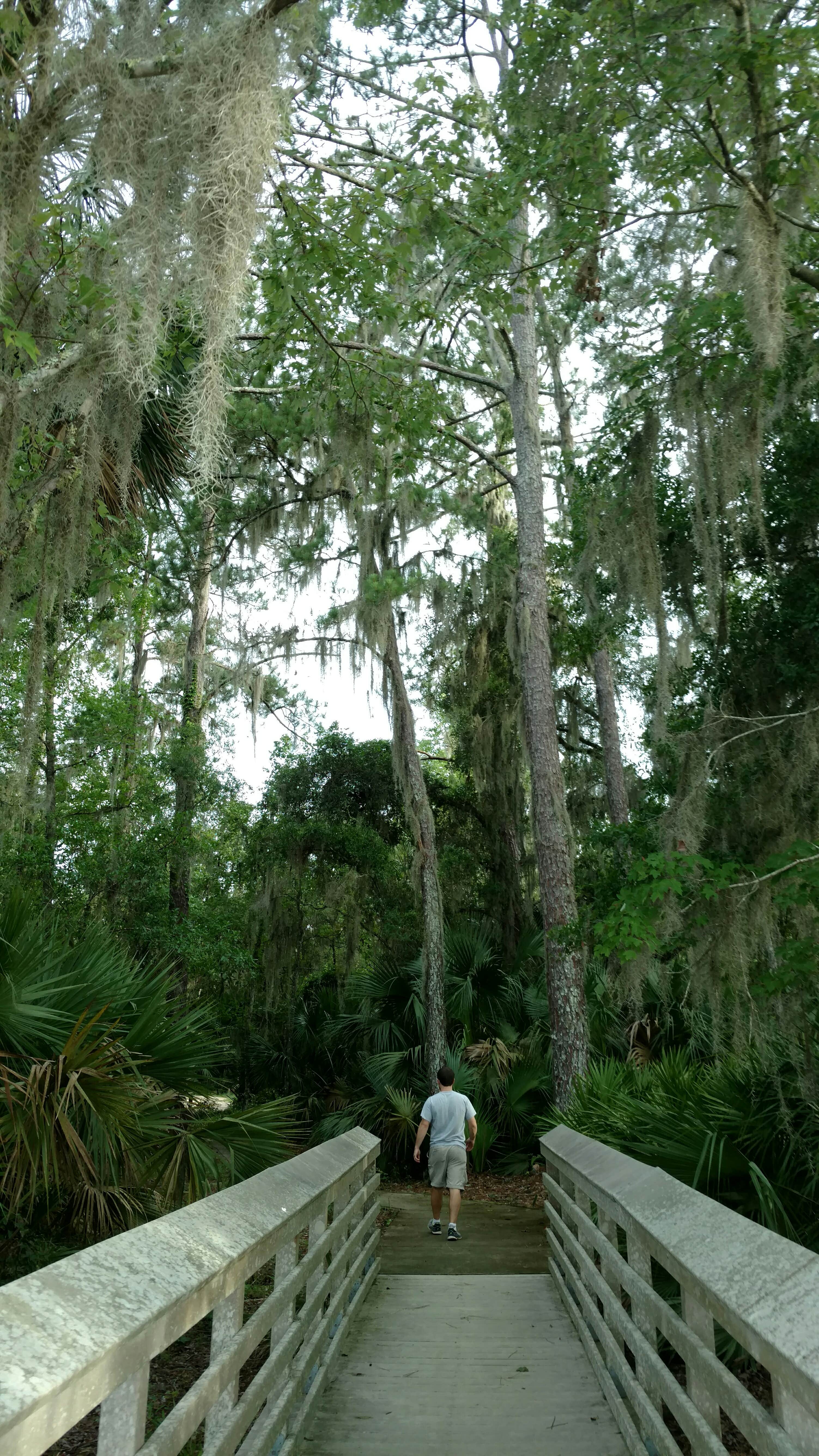 Camper submitted image from Lake Delancy West Campground - 5