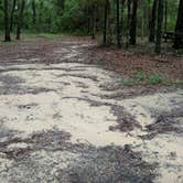 Review photo of Lake Delancy West Campground by Natalie B., July 15, 2017