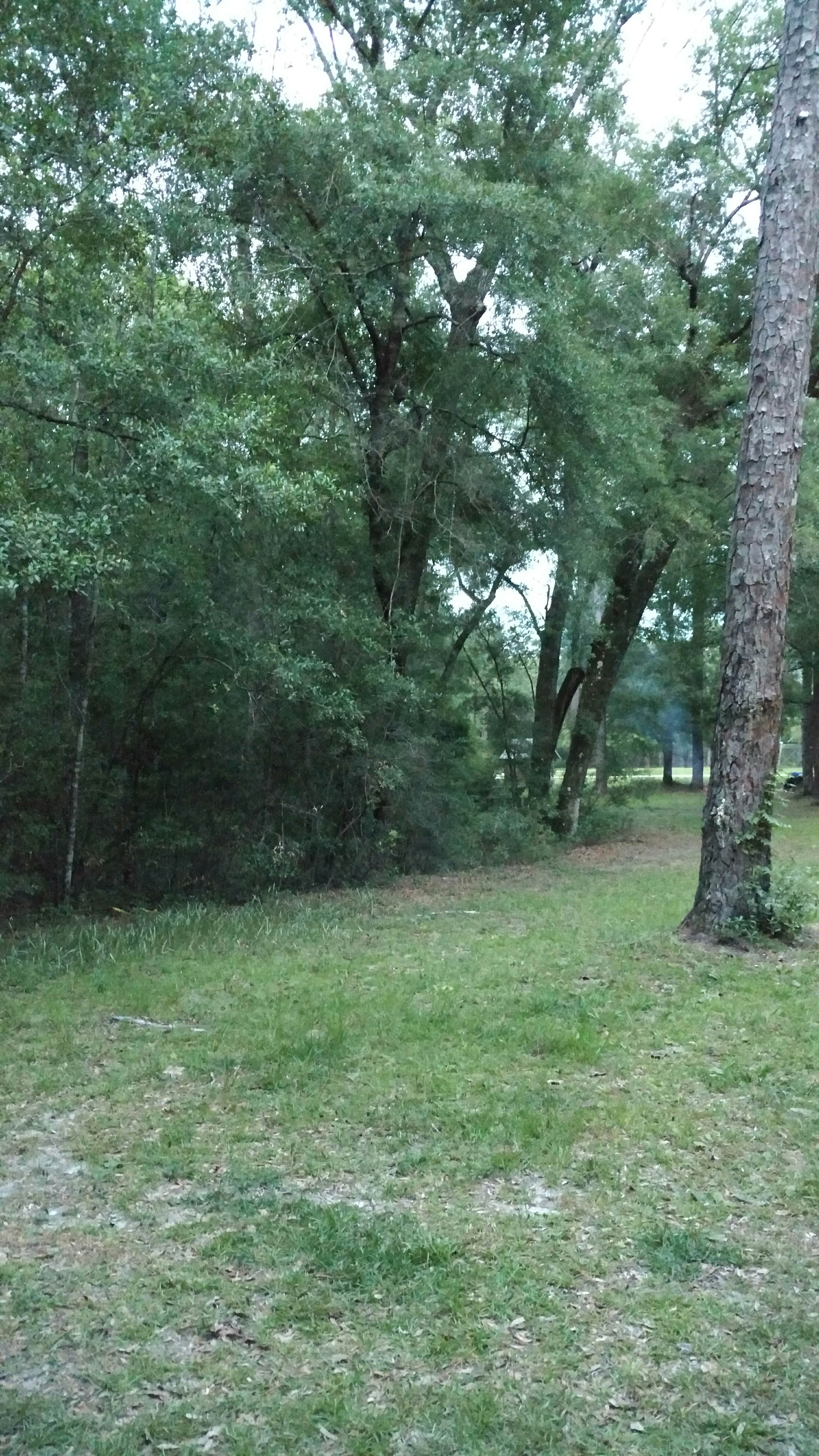 Camper submitted image from Honey Hill Recreation Area - 2