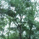 Review photo of Honey Hill Recreation Area by Natalie B., July 15, 2017