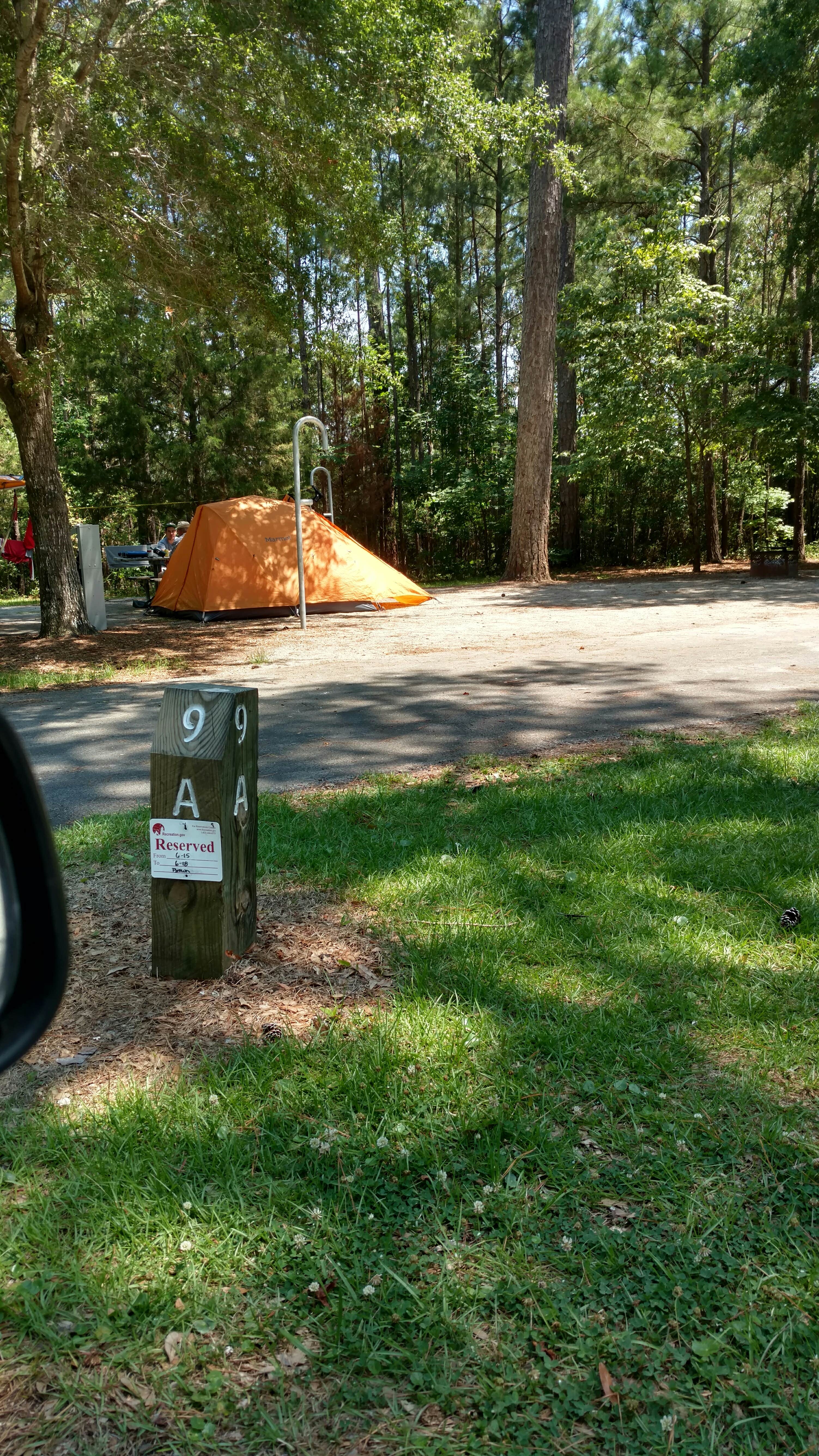 Camper submitted image from Cedar Point Campground - 4