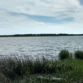 Review photo of Croatan National Forest Oyster Point Campground by Natalie B., July 15, 2017