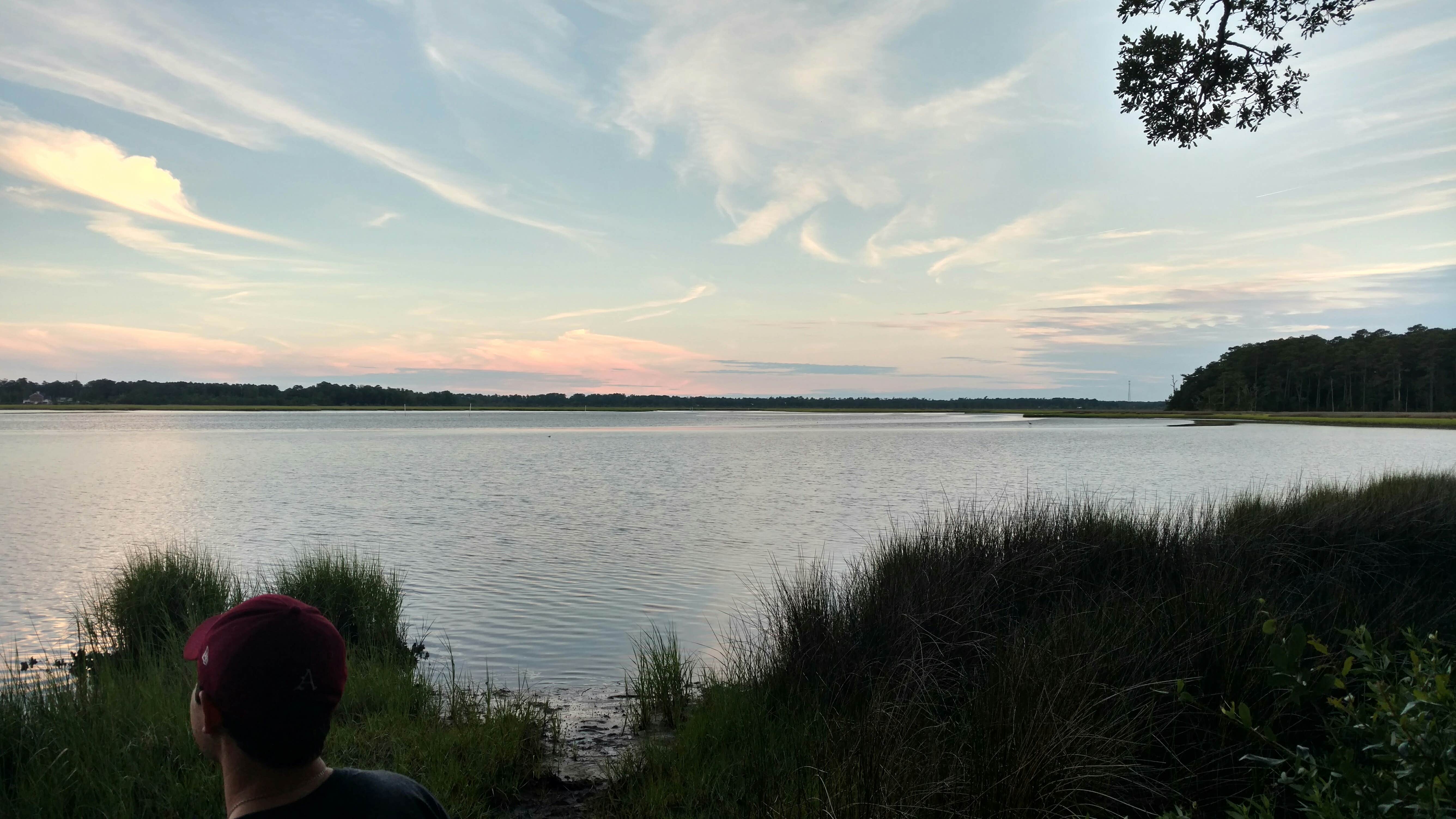 Camper submitted image from Croatan National Forest Oyster Point Campground - 3
