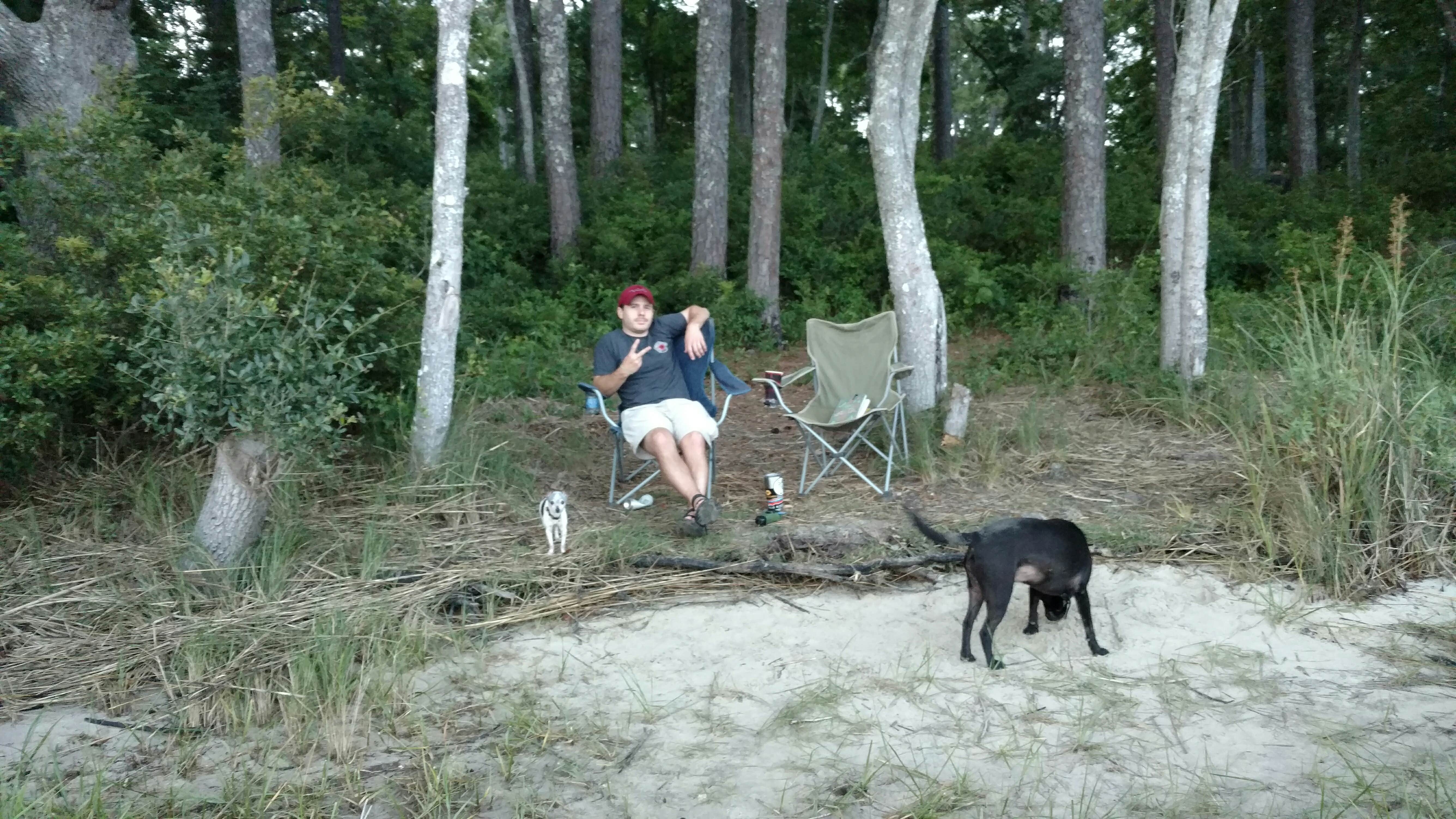 Camper submitted image from Croatan National Forest Oyster Point Campground - 3