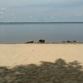 Review photo of Flanners Beach/Neuse River Recreation Area - CLOSED by Natalie B., July 15, 2017