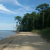 Review photo of Flanners Beach/Neuse River Recreation Area - CLOSED by Natalie B., July 15, 2017
