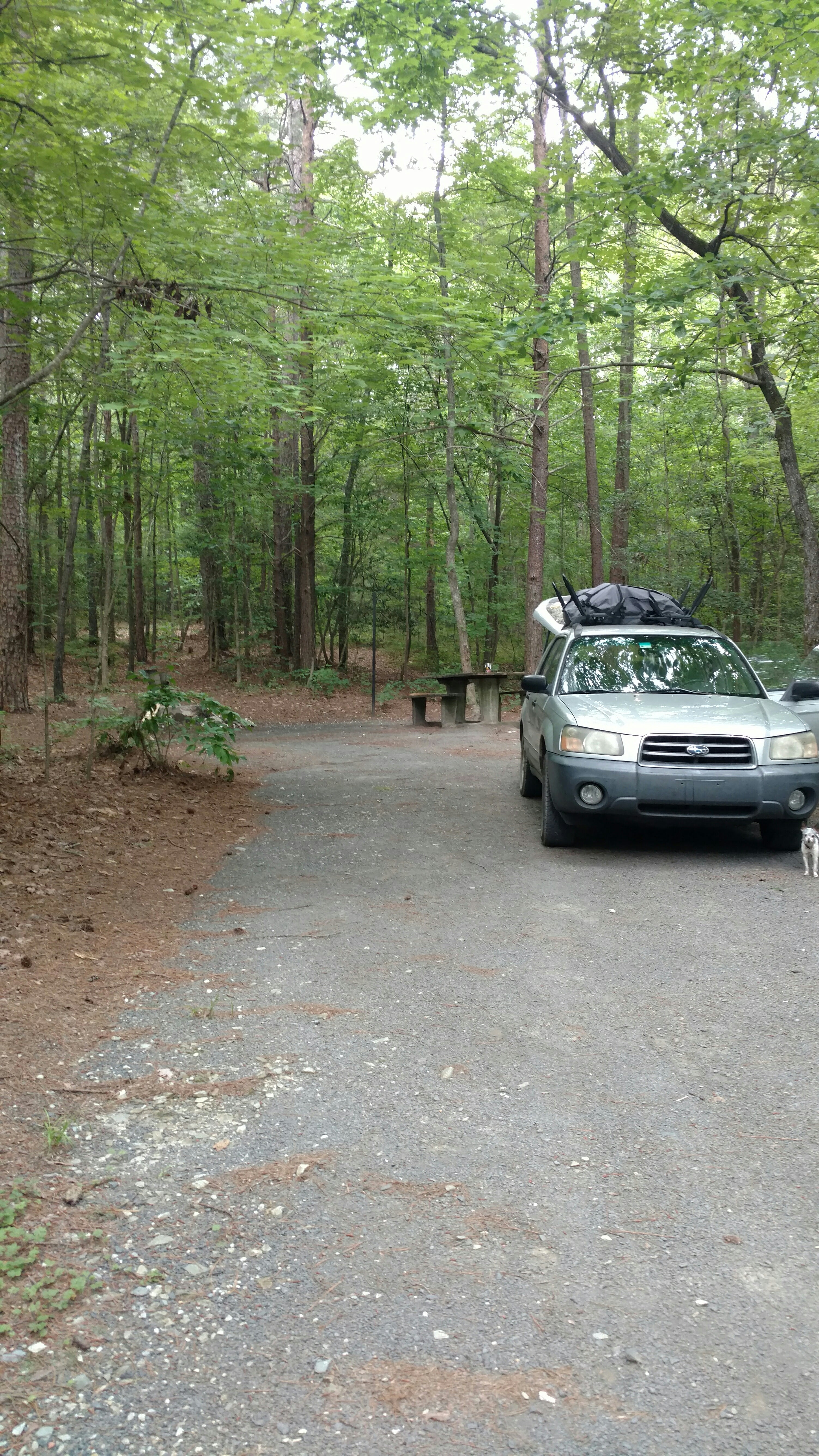 Camper submitted image from West Morris Mtn. - 1