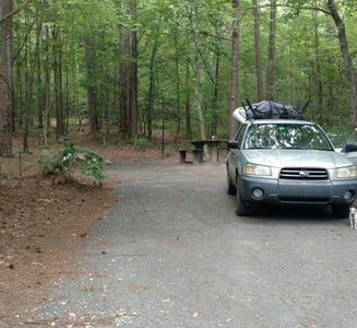 Camper-submitted photo from West Morris Mtn.