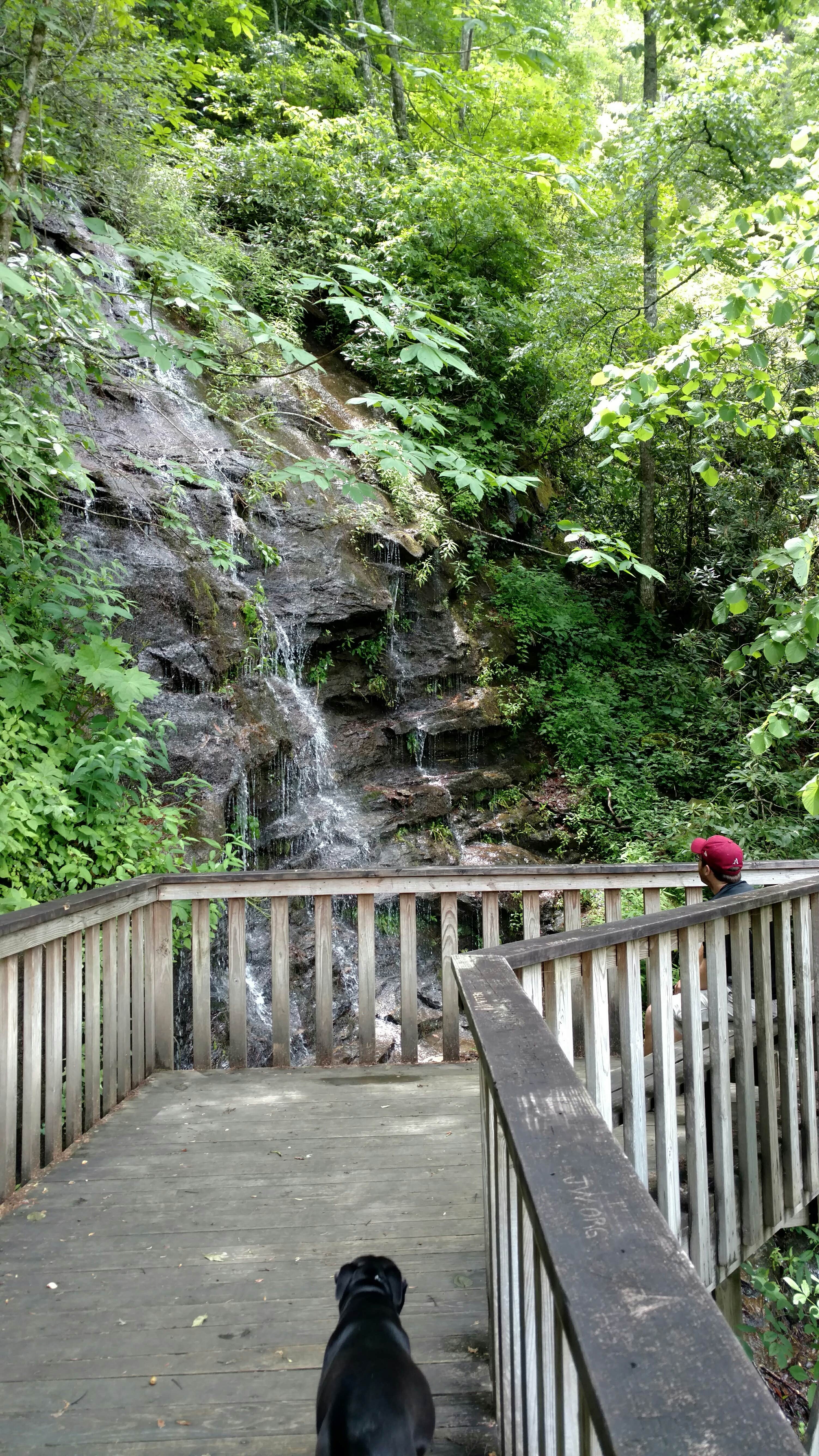 Baldwin - Photo 2