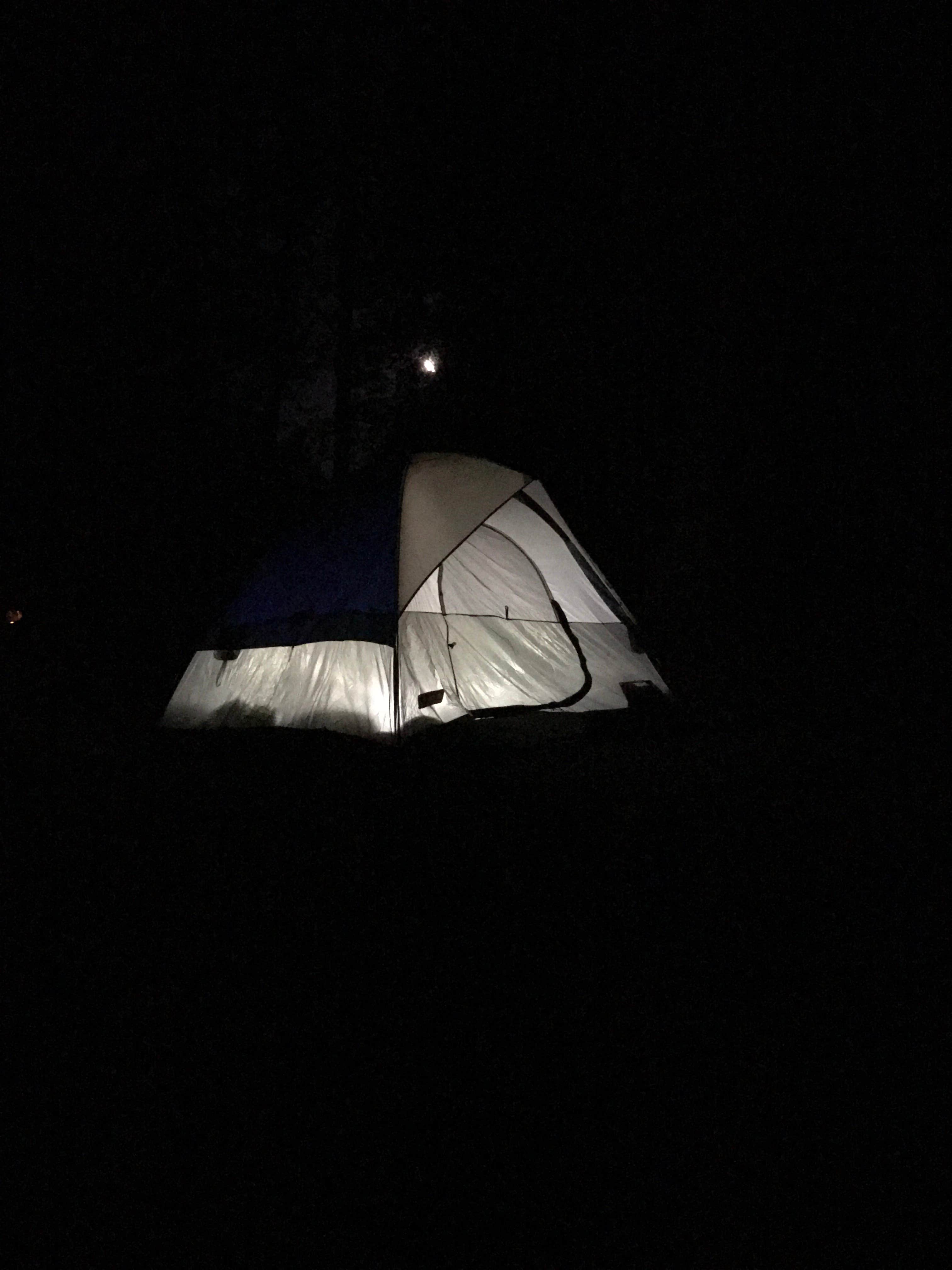 Camper submitted image from Mossyrock Park - 3