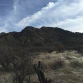 Review photo of Catalina State Park Campground by Ryan V., June 26, 2016