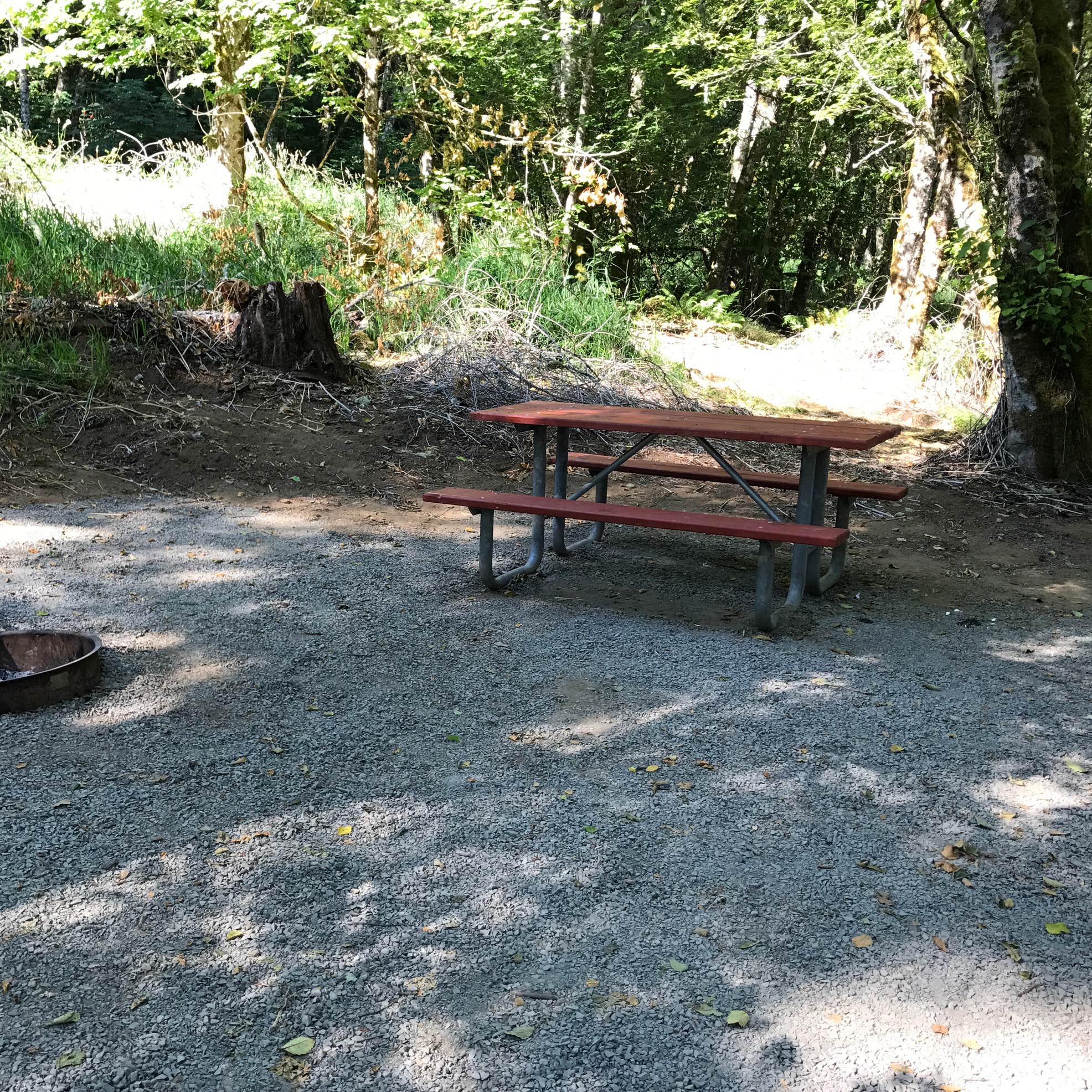 Mossyrock Park Camping The Dyrt