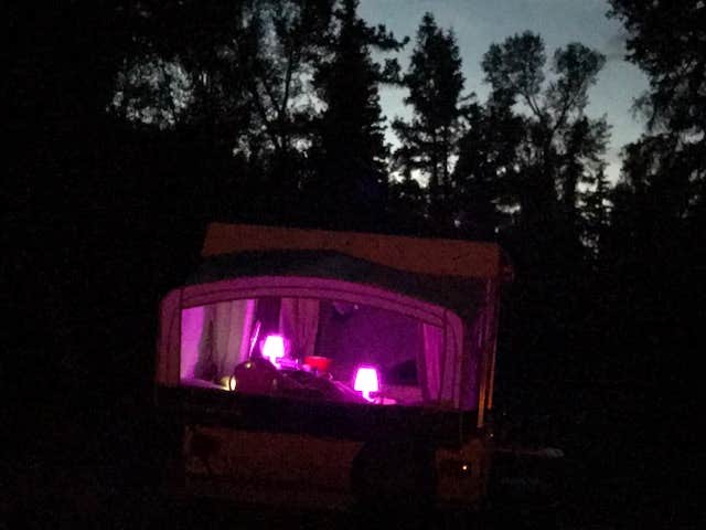 Camper-submitted photo at Big Cimarron near Ridgway, CO