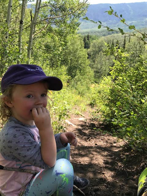 Camper-submitted photo at Big Cimarron near Ridgway, CO