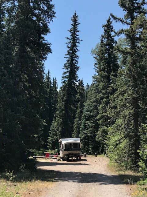 Camper-submitted photo at Big Cimarron near Ridgway, CO
