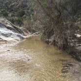 Review photo of Catalina State Park Campground by Ryan V., June 26, 2016