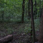 Review photo of Pike Lake Campground — Kettle Moraine State Forest-Pike Lake Unit by Jimmy P., July 16, 2017