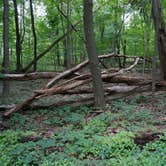 Review photo of Pike Lake Campground — Kettle Moraine State Forest-Pike Lake Unit by Jimmy P., July 16, 2017