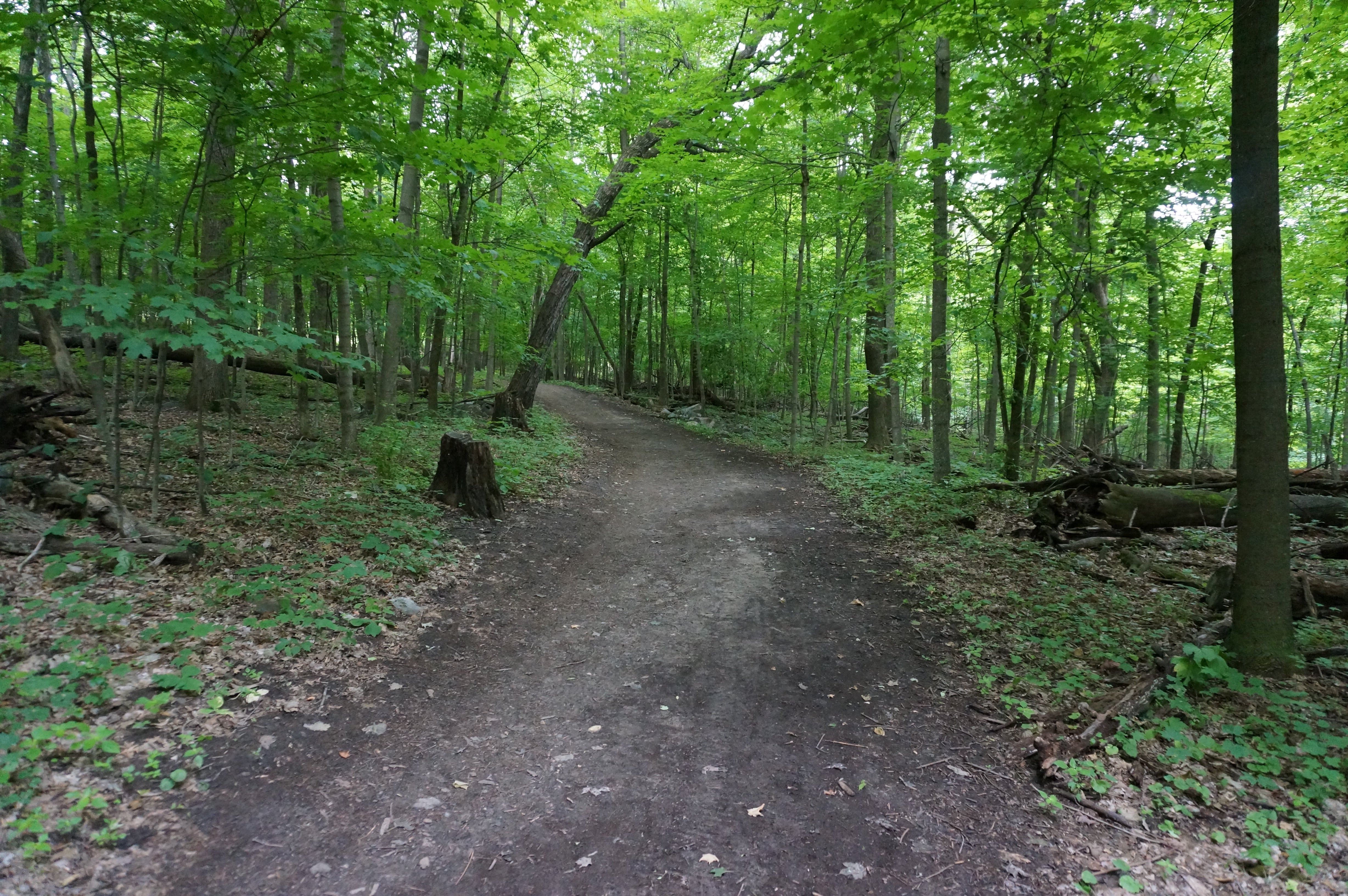 Camper submitted image from Pike Lake Campground — Kettle Moraine State Forest-Pike Lake Unit - 3