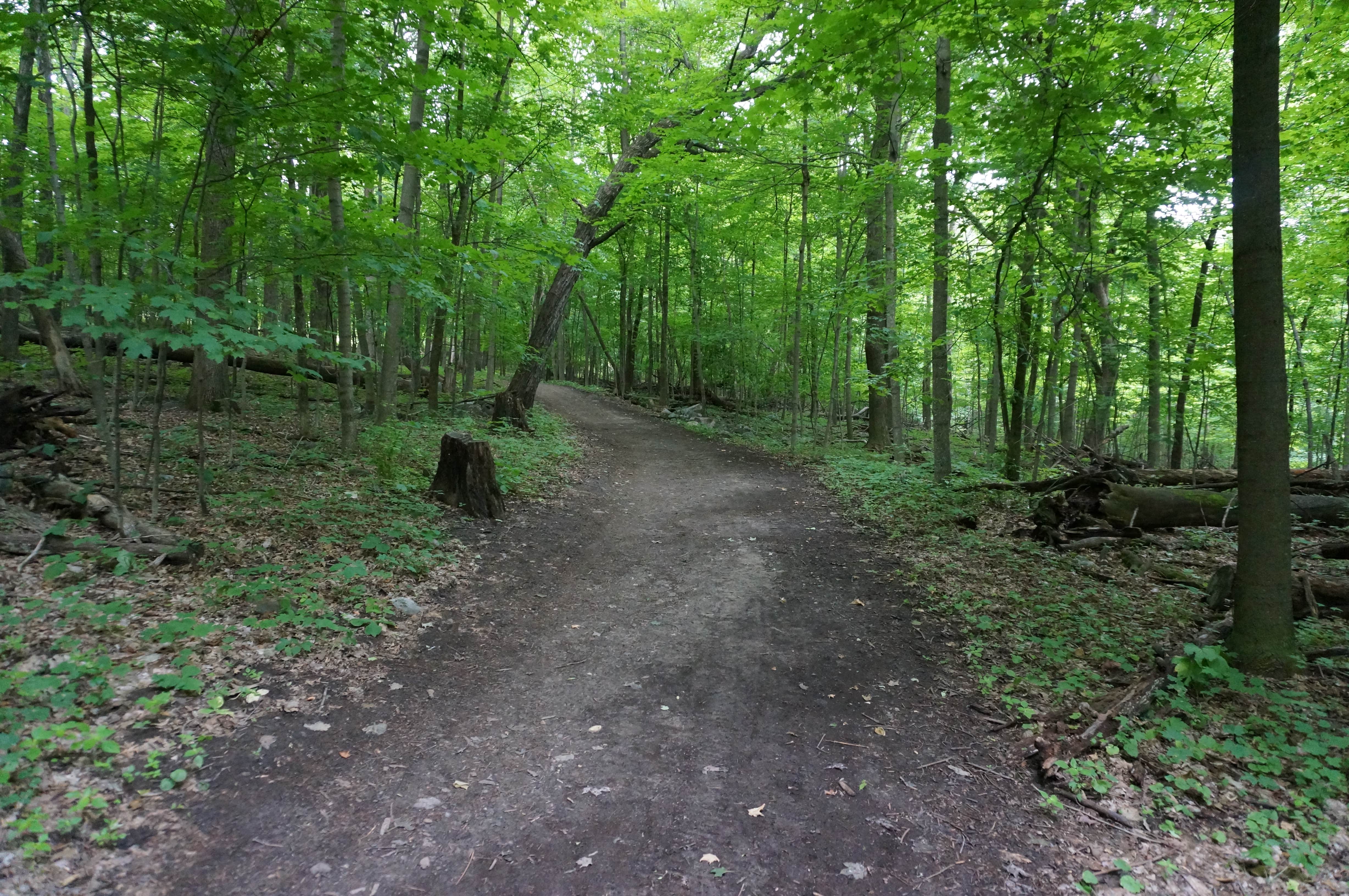Pike Lake Campground — Kettle Moraine State ForestPike Lake Unit