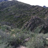 Review photo of Catalina State Park by Ryan V., June 26, 2016
