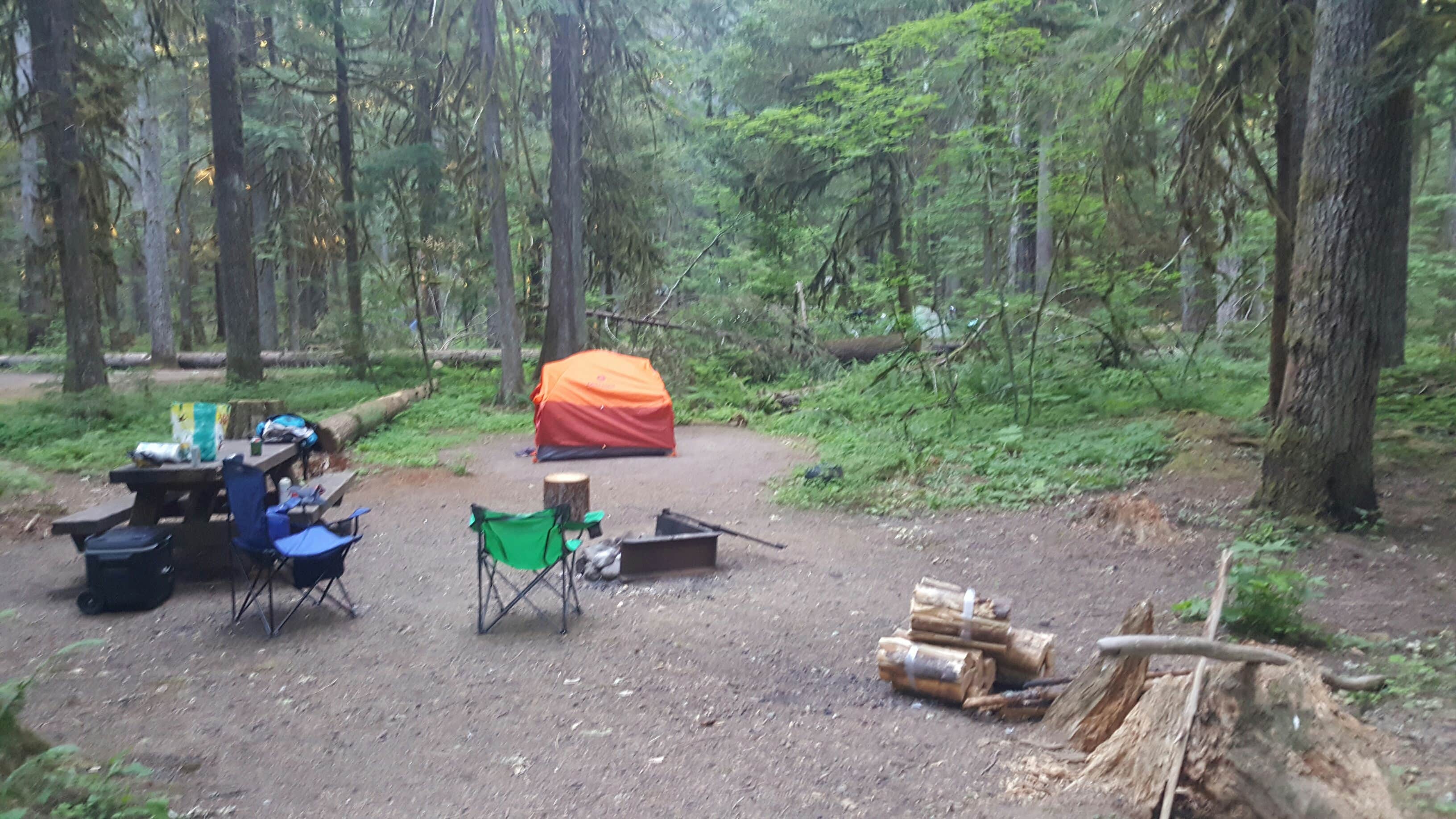 Camper submitted image from Paradise Creek Campground - 5