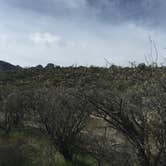 Review photo of Catalina State Park Campground by Ryan V., June 26, 2016
