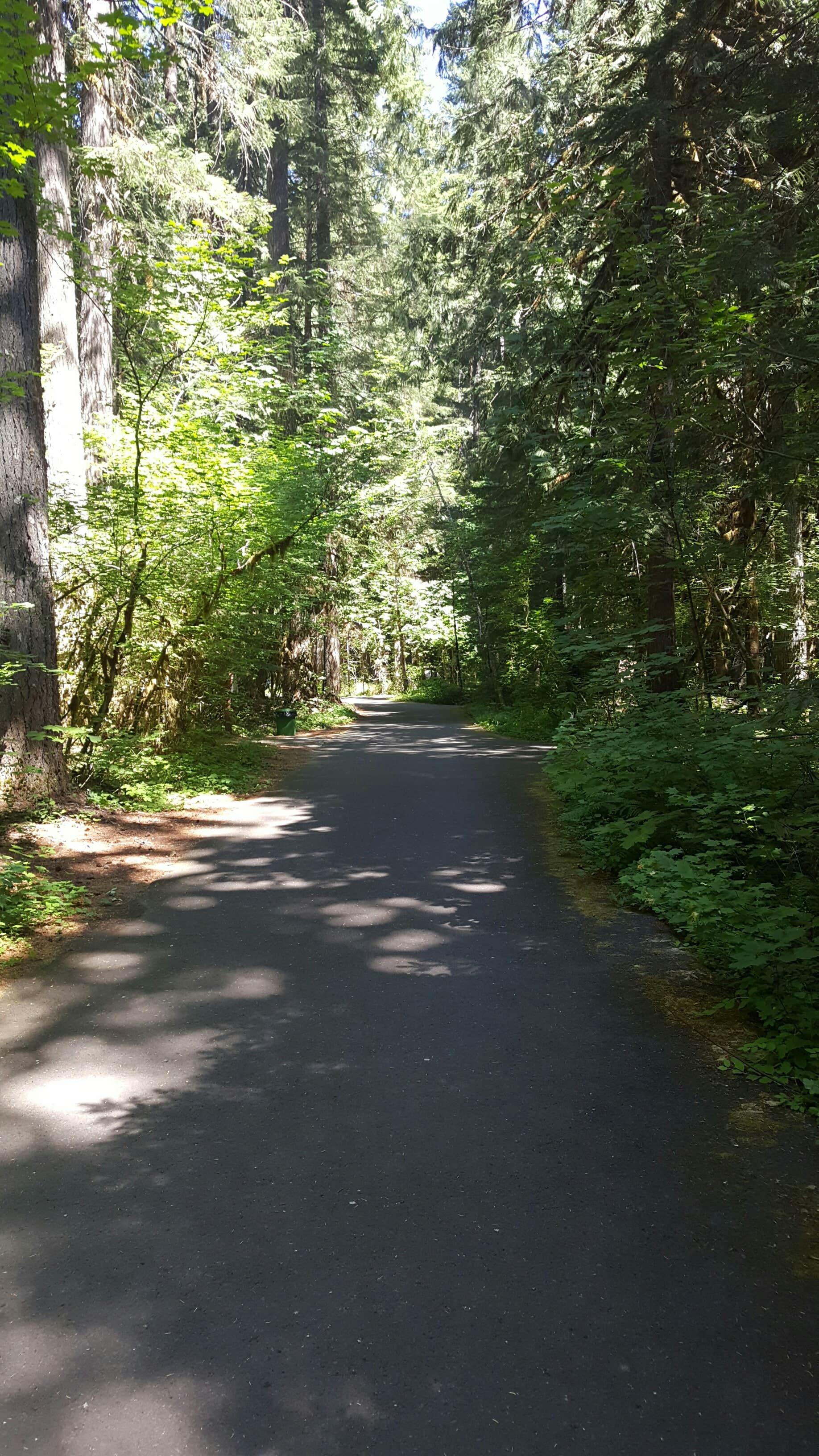 Camper submitted image from Paradise Creek Campground - 3