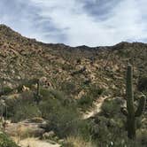 Review photo of Catalina State Park Campground by Ryan V., June 26, 2016