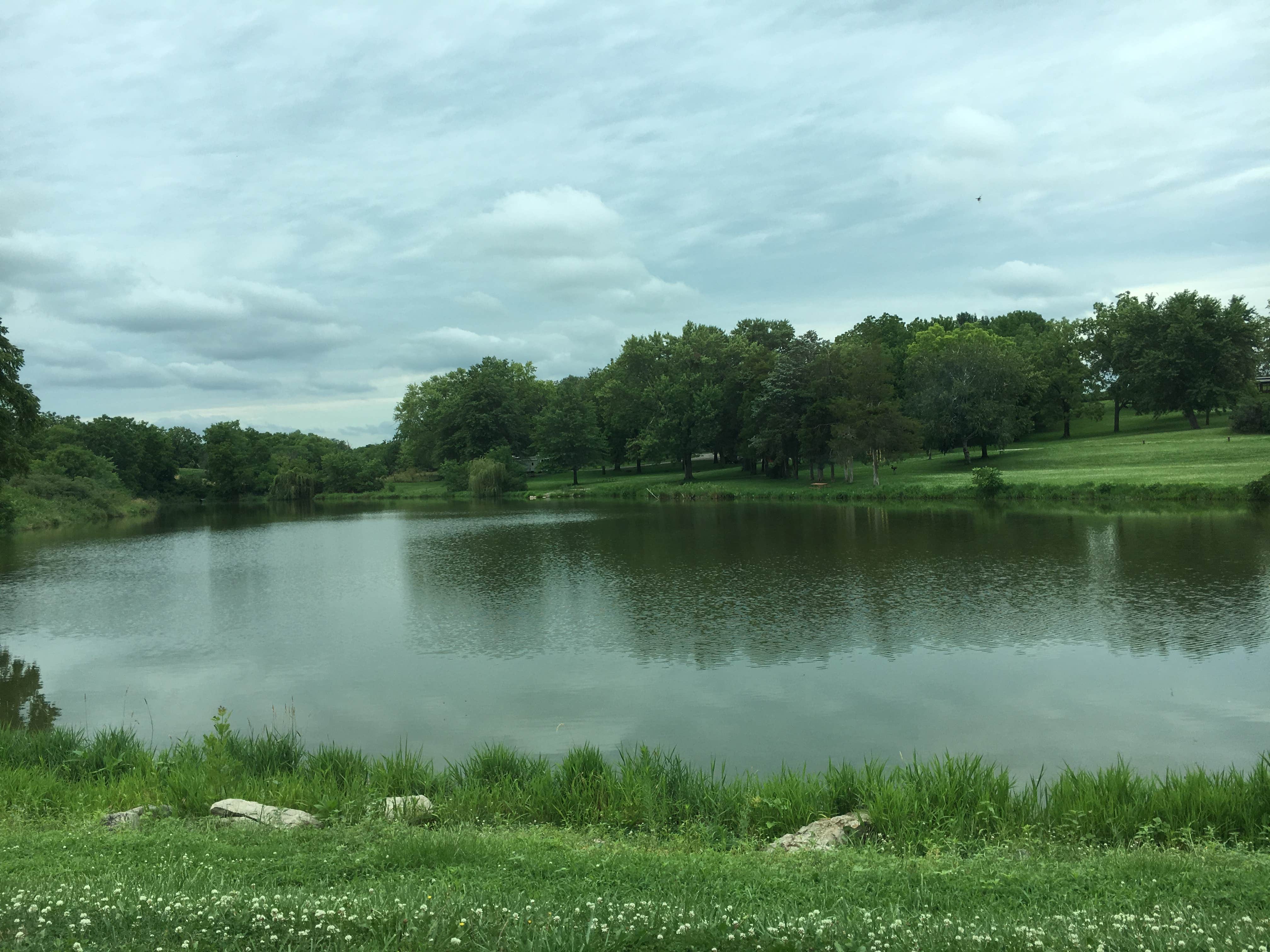 Camper-submitted photo at Pioneer Co Park near Elma, IA